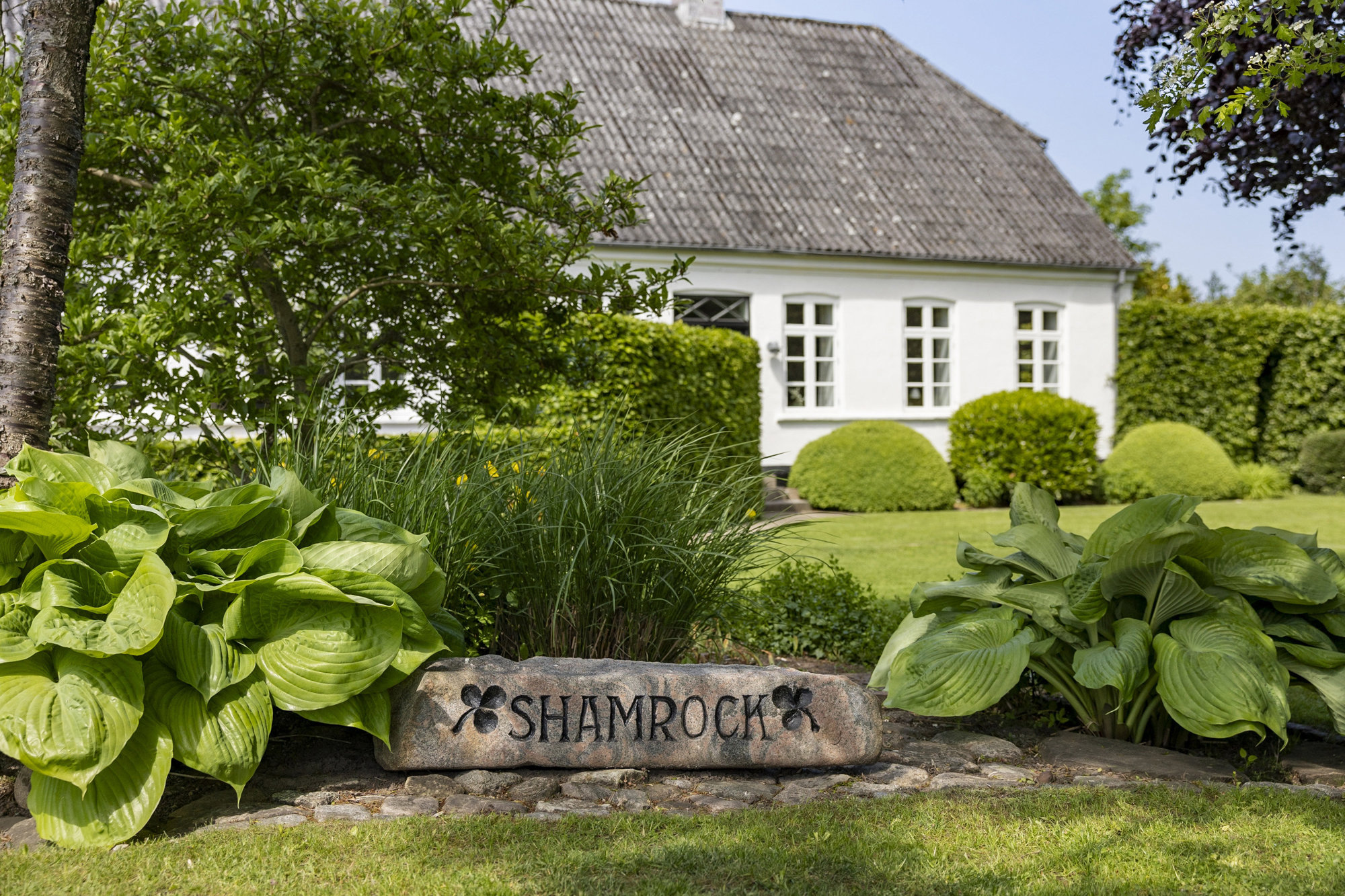 Område