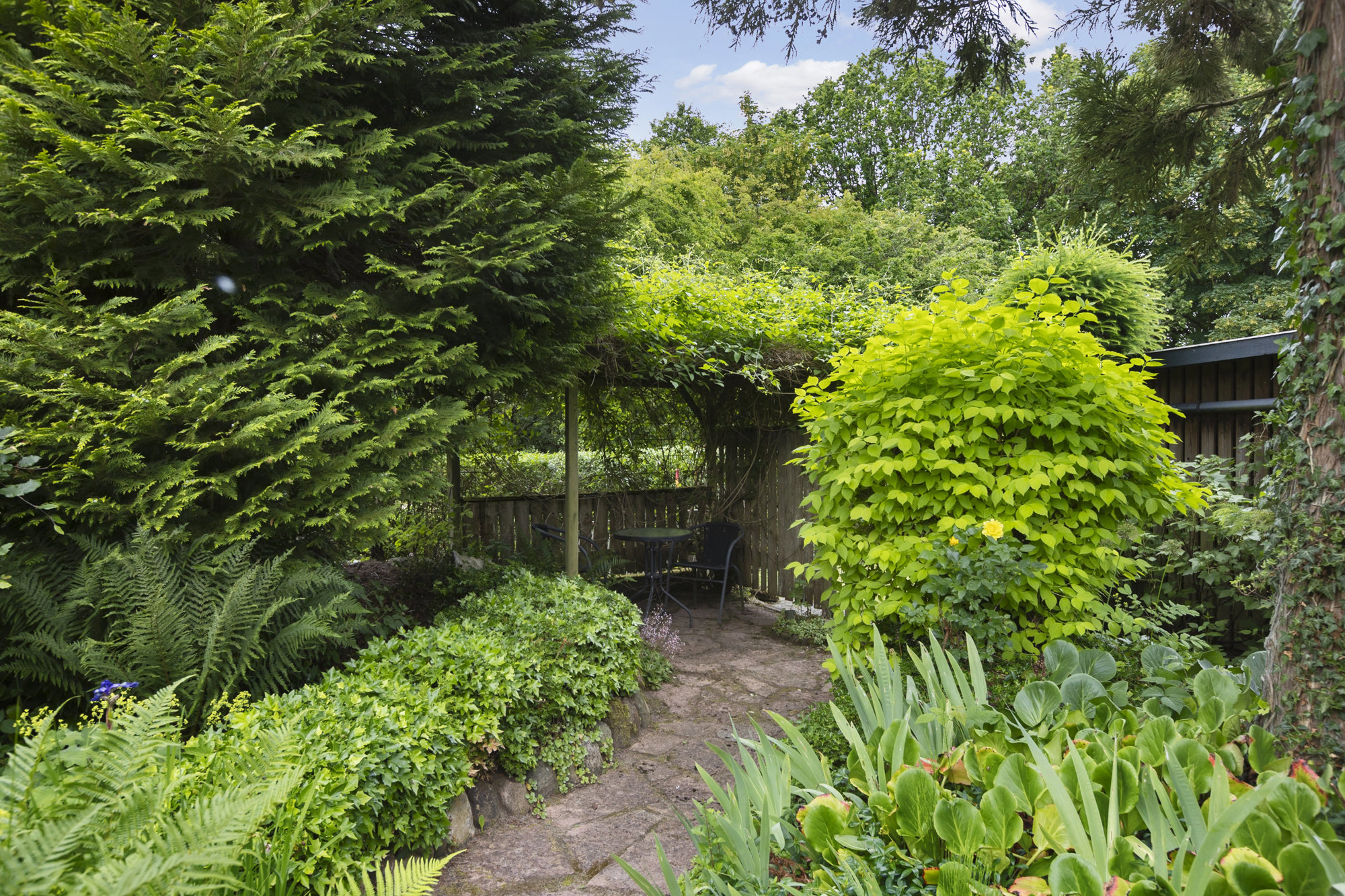 Område